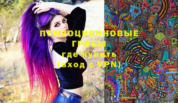 дмт Кинешма