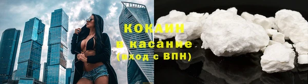 шишки Киреевск