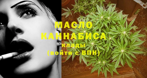 дмт Кинешма
