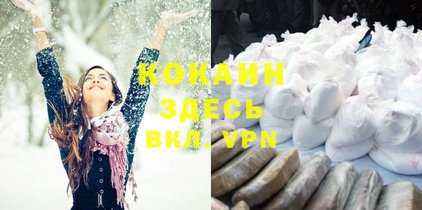 дмт Кинешма
