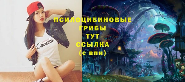 шишки Киреевск