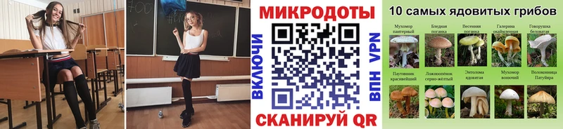 Купить закладки  Мезень  Псилоцибиновые грибы Cubensis 